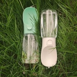 Portable water bottle
